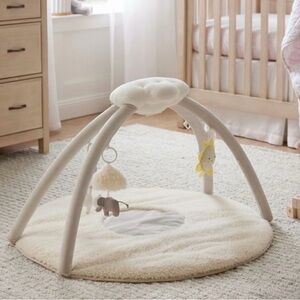 Pottery Barn Kids Light-Up & Musical Activity Play Gym